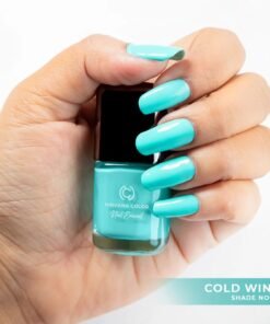 Nirvana Color Nail Enamel - Shade No 10 - Cold Wind